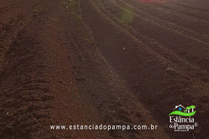 Fazenda com 1496 ha em Cachoeira do Sul localidade Irapu�.00_23_57_41.Quadro050_bd89753891981a78a909b3e8415c5a722106cb90.jpg